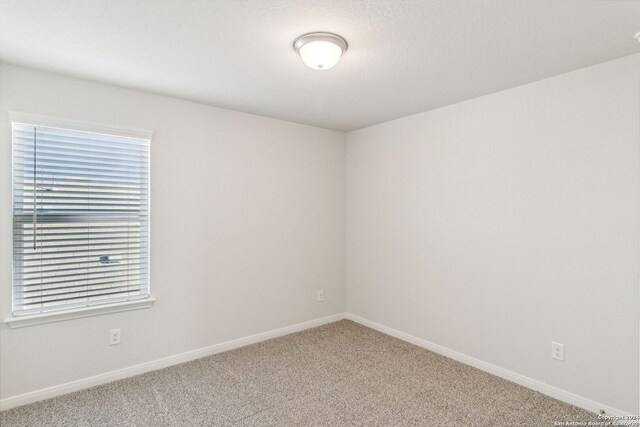 unfurnished room featuring carpet