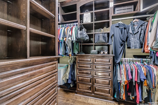 walk in closet with wood-type flooring