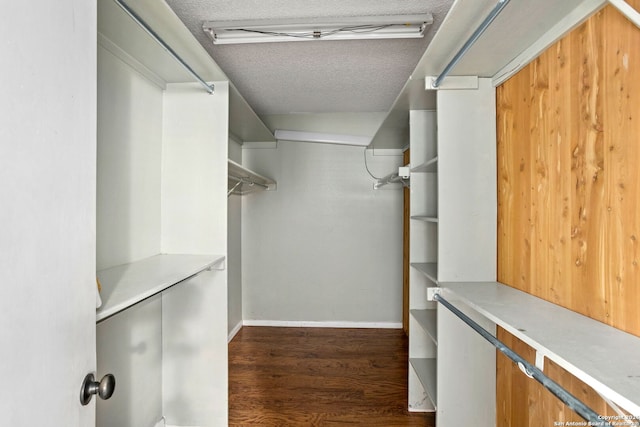 walk in closet featuring dark wood-type flooring