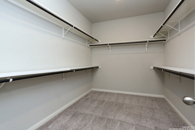 walk in closet featuring light colored carpet