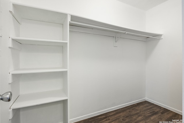 spacious closet featuring dark wood-type flooring