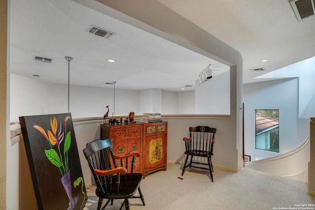 sitting room featuring carpet flooring