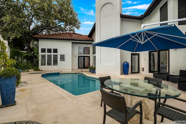 view of swimming pool with a patio