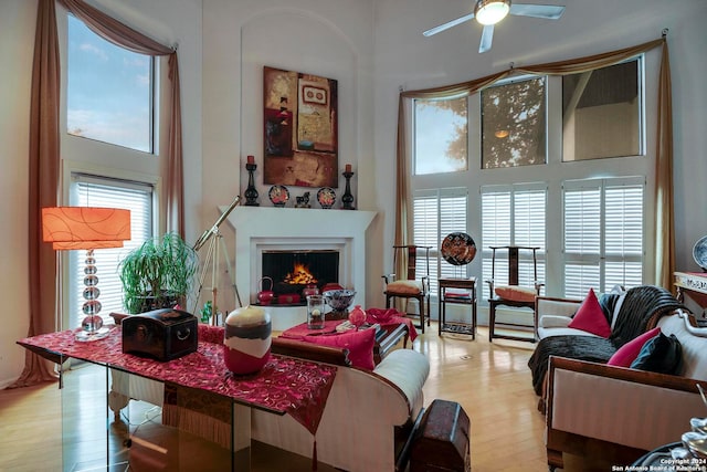 living room featuring ceiling fan, a high ceiling, and light wood-type flooring