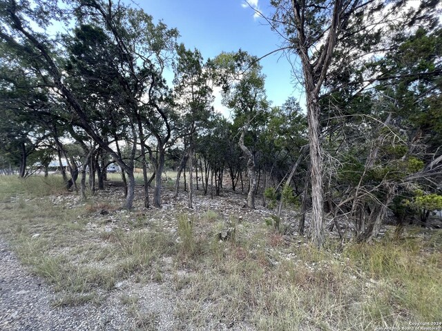 381 Ringtail, Canyon Lake TX, 78133 land for sale