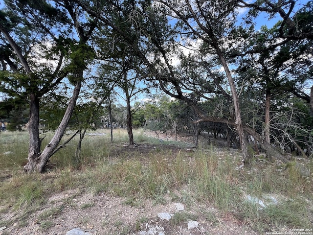 Listing photo 2 for 381 Ringtail, Canyon Lake TX 78133