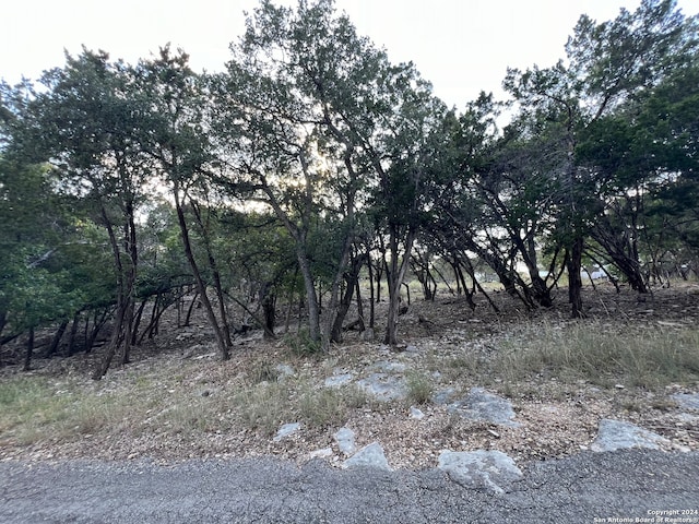 Listing photo 3 for 381 Ringtail, Canyon Lake TX 78133