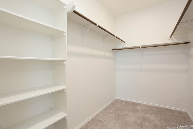 walk in closet with light colored carpet