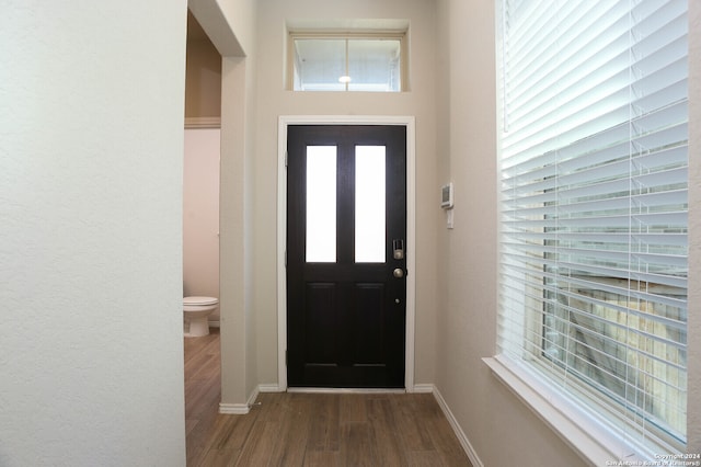 foyer with dark wood-type flooring