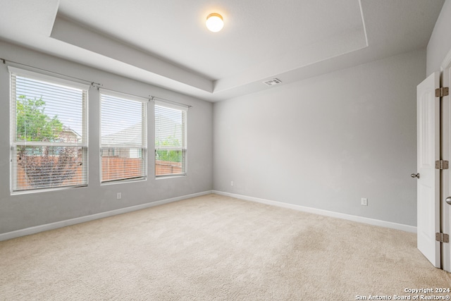 spare room with light carpet, a tray ceiling, and a wealth of natural light