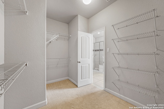 spacious closet with light colored carpet