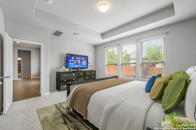 bedroom with a tray ceiling and wood-type flooring