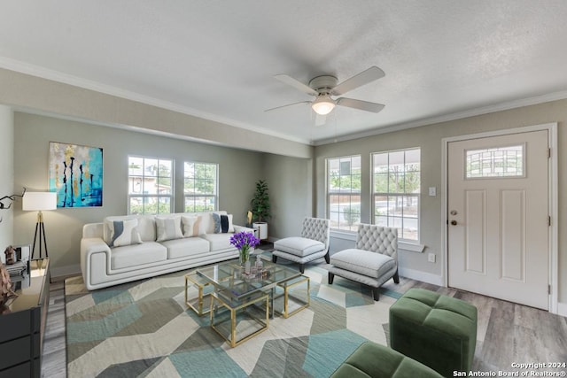1703 Allende, San Antonio, TX 78237 - unfurnished room with crown molding, visible vents, baseboards, a ceiling fan, and light wood finished floors