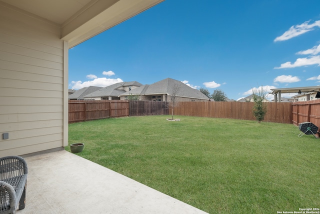 view of yard featuring a patio area