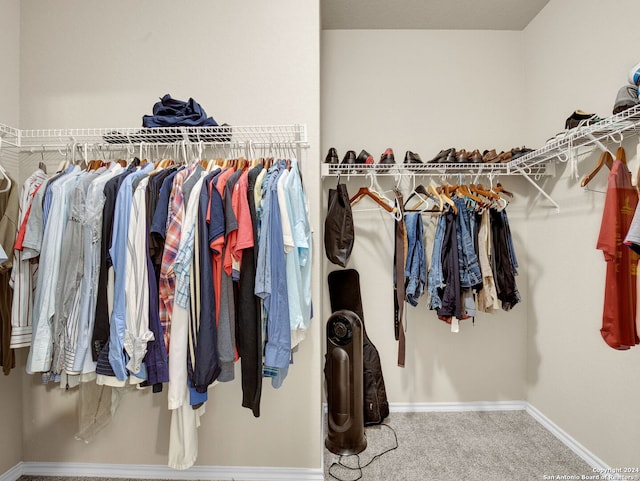 spacious closet with carpet flooring