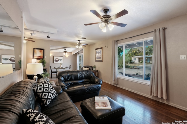 living room with dark hardwood / wood-style floors and track lighting