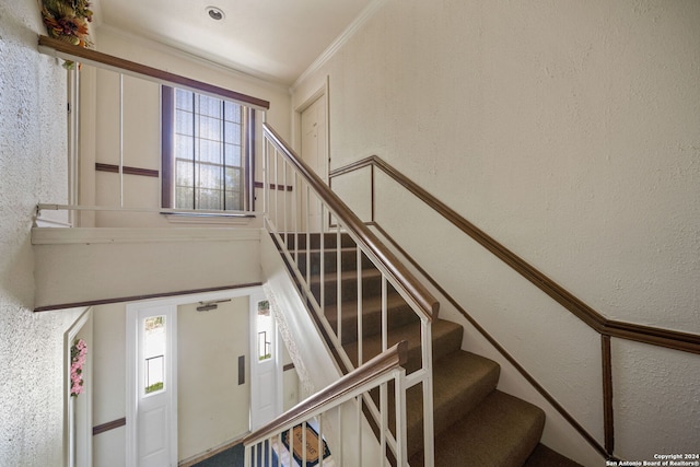 stairs with ornamental molding