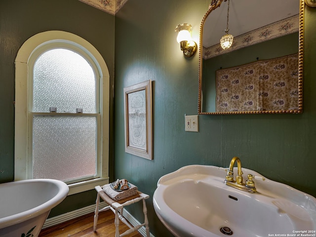 bathroom featuring wood-type flooring and sink