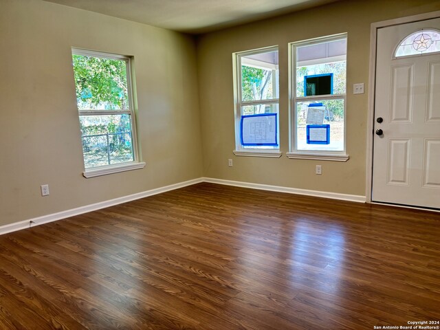 entrance foyer featuring dark wood-type flooring and a wealth of natural light