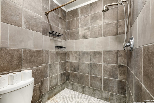 bathroom with toilet, tile walls, and tiled shower