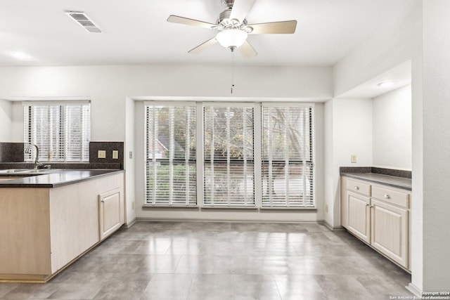 kitchen with ceiling fan and sink