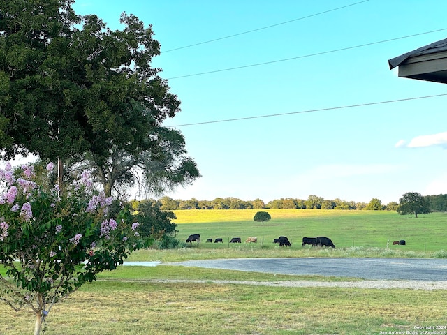 view of yard with a rural view