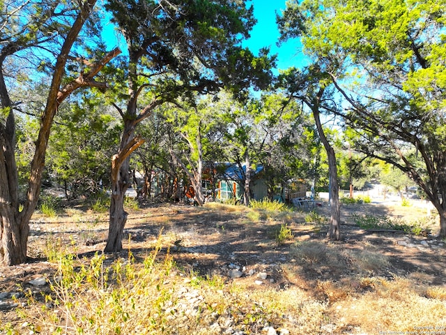 Listing photo 3 for 722 Squires Row, Canyon Lake TX 78133