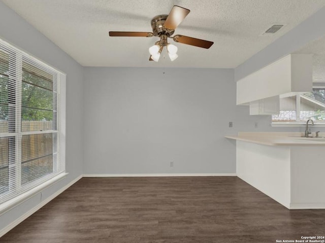 interior space with a wealth of natural light, white cabinetry, a textured ceiling, and dark hardwood / wood-style flooring