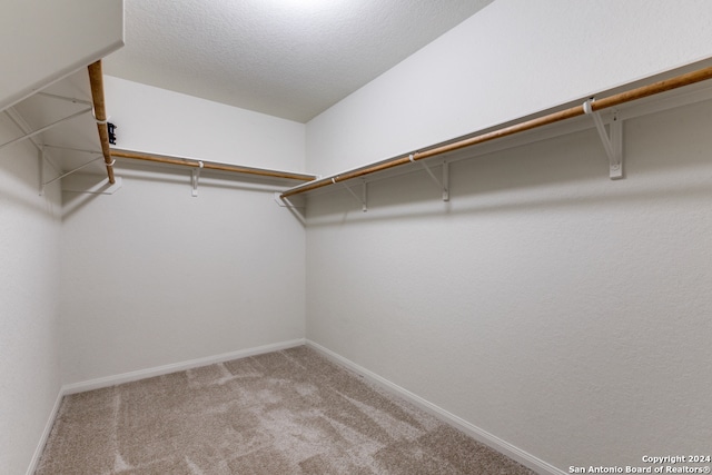 walk in closet with carpet floors