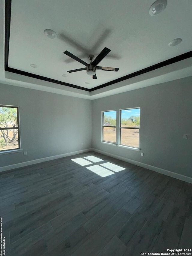 spare room with ceiling fan, a healthy amount of sunlight, a raised ceiling, and dark wood-type flooring