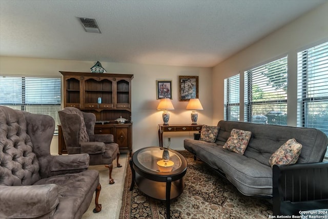 carpeted living room featuring a textured ceiling