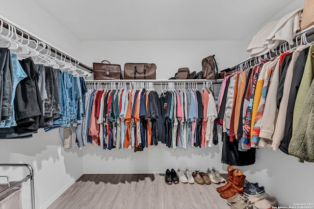 spacious closet with hardwood / wood-style floors