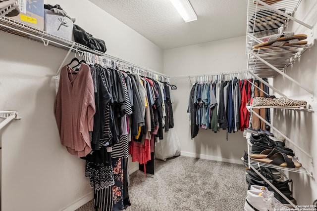 spacious closet with carpet flooring