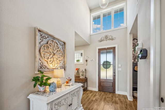 foyer entrance featuring a high ceiling and light wood-type flooring