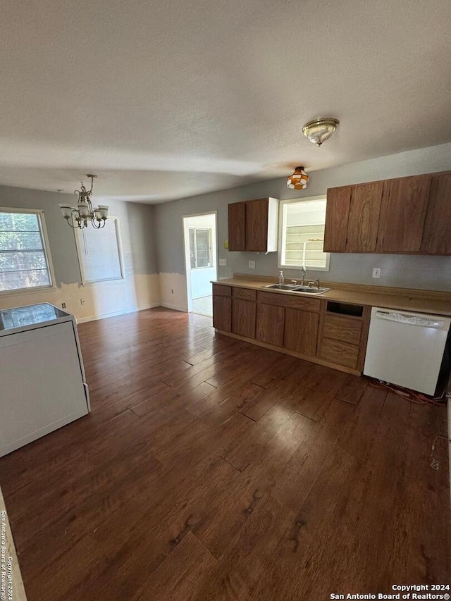 kitchen with a wealth of natural light, sink, dark wood-type flooring, and dishwasher