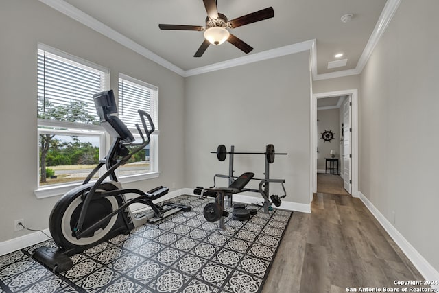 exercise area with ceiling fan, crown molding, baseboards, and wood finished floors