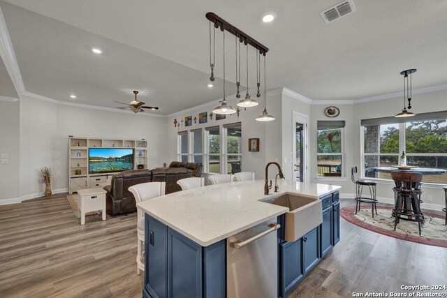1207 Game Trl, New Braunfels, TX 78132 - kitchen featuring blue cabinetry, a sink, stainless steel dishwasher, a ceiling fan, and light wood finished floors