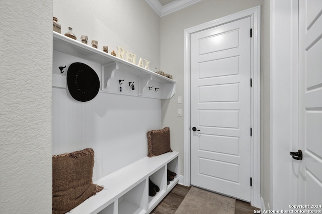 mudroom with dark wood-style floors and ornamental molding