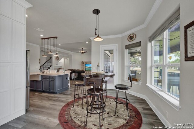 1207 Game Trl, New Braunfels, TX 78132 - mudroom featuring ornamental molding, dark wood-style flooring, and a textured wall