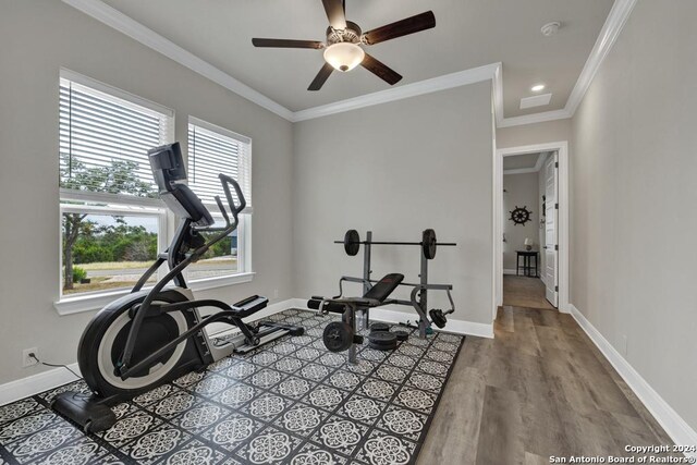 1207 Game Trl, New Braunfels, TX 78132 - bedroom featuring carpet, crown molding, a chandelier, and baseboards
