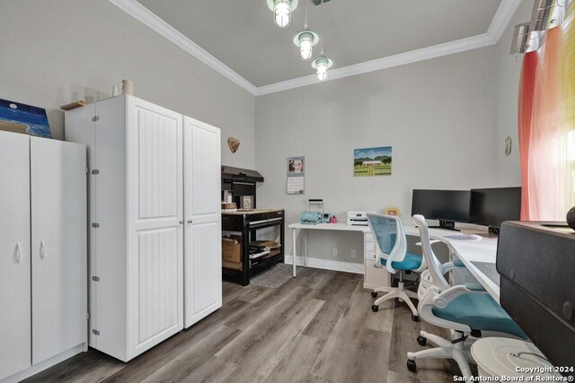 1207 Game Trl, New Braunfels, TX 78132 - carpeted bedroom featuring a raised ceiling, multiple windows, baseboards, ornamental molding, and ceiling fan