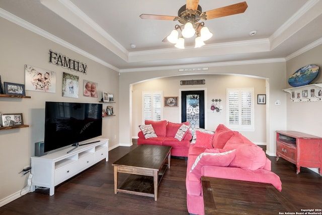 1138 Royal Eagle, Fischer, TX 78623 - living room with a wealth of natural light, a tray ceiling, and arched walkways