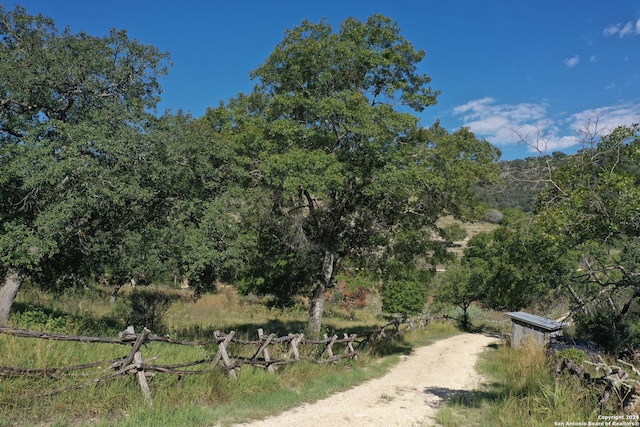 view of local wilderness