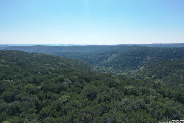 view of mountain feature