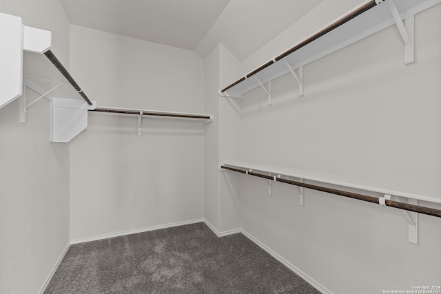 spacious closet with dark colored carpet