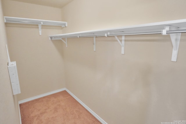 spacious closet with light colored carpet