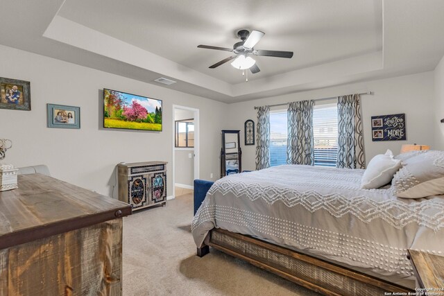 bedroom with ceiling fan, a raised ceiling, and carpet floors