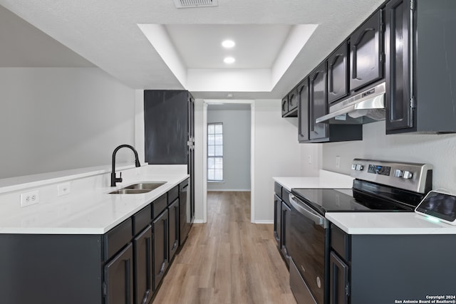 kitchen with dishwasher, light hardwood / wood-style flooring, sink, stainless steel range with electric cooktop, and a raised ceiling