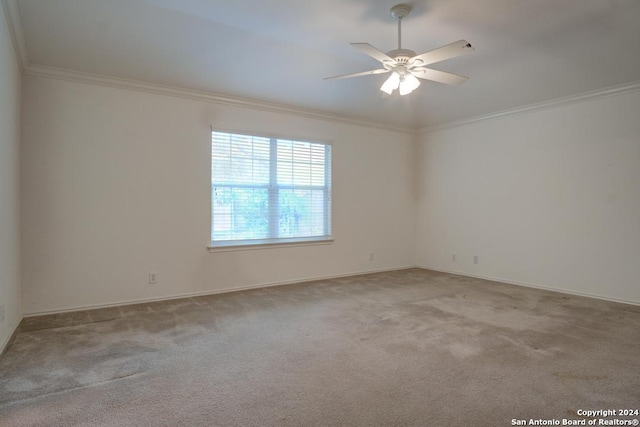 carpeted spare room with crown molding and ceiling fan