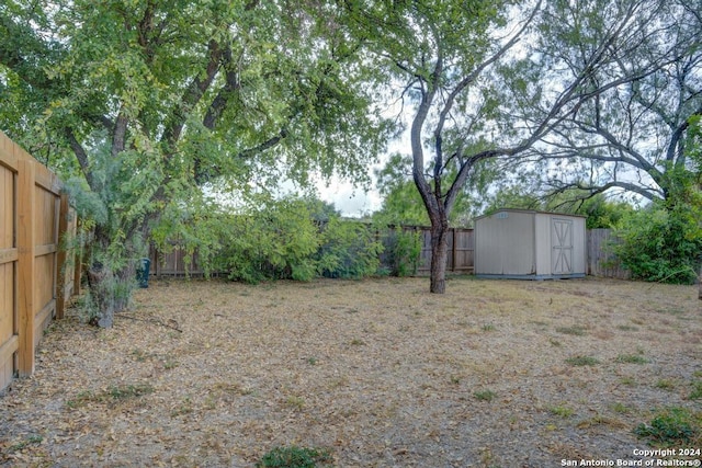 view of yard with a storage unit